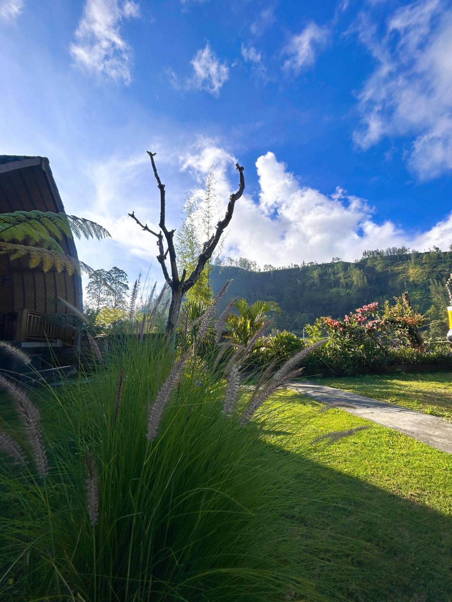 Batur Cottage Kubupenlokan Ngoại thất bức ảnh